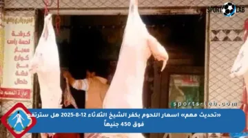 «تحديث مهم» أسعار اللحوم بكفر الشيخ الثلاثاء 12-8-2025 هل سترتفع فوق 450 جنيهاً